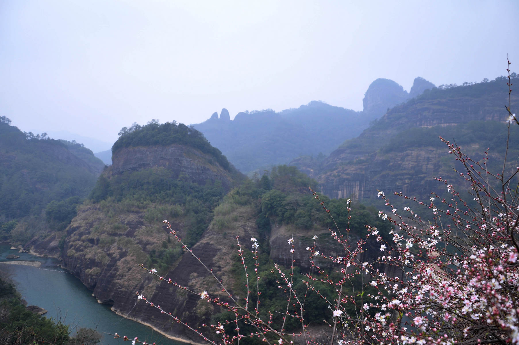 nEO_IMG_DSC_1706.jpg