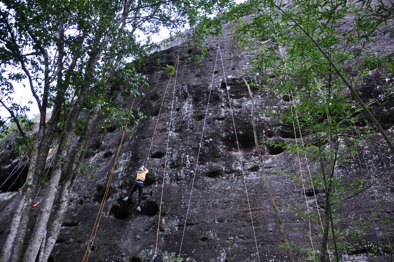 nEO_IMG_DSC_2249.jpg