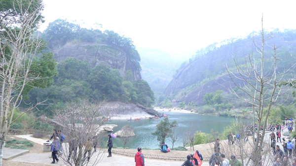P1030129.jpg