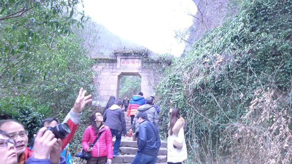 P1030135.jpg