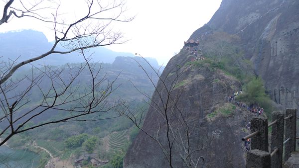 P1030159.jpg