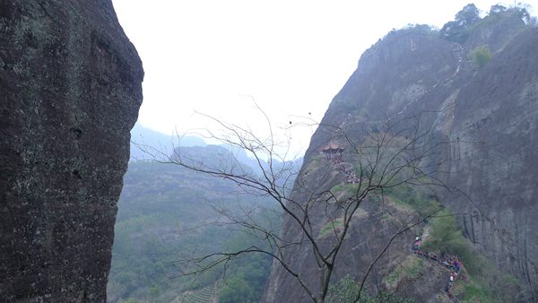 P1030170.jpg