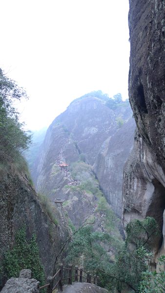 P1030176.jpg
