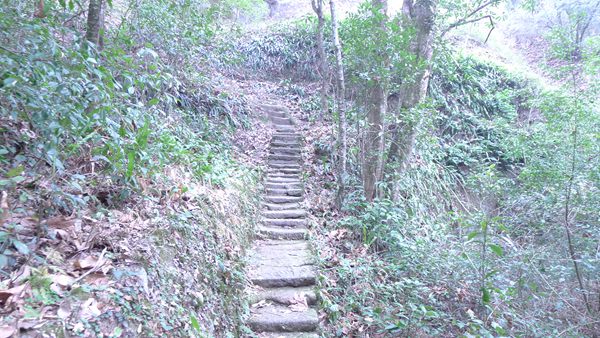 P1030178.jpg