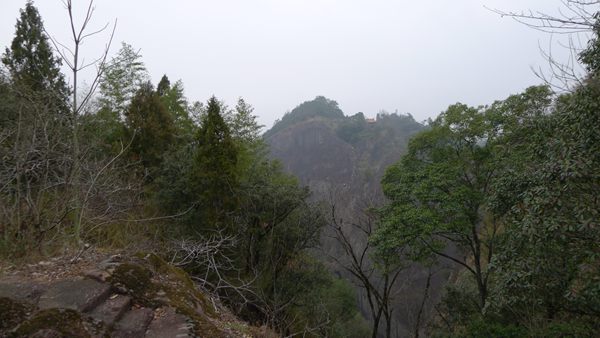 P1030182.jpg