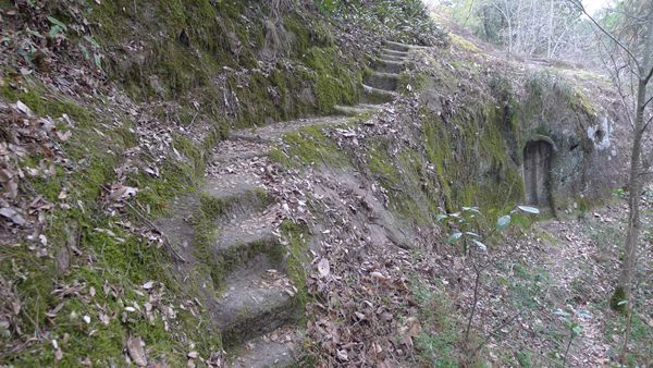 P1030181.jpg