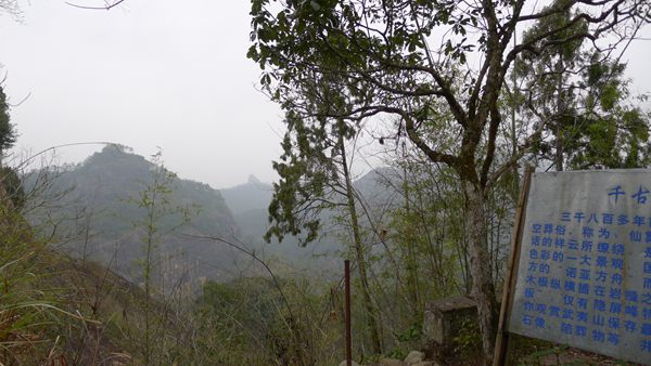 P1030189.jpg