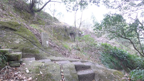 P1030199.jpg