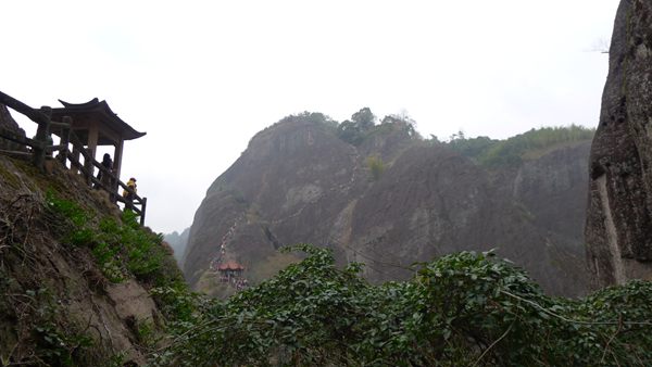 P1030205.jpg
