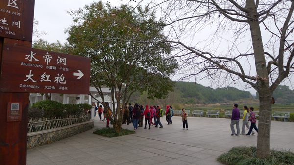 P1030294.jpg