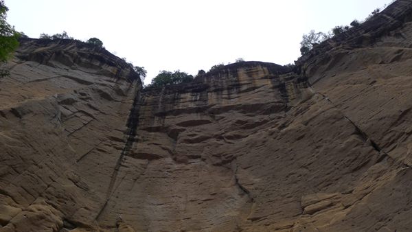 P1030331.jpg