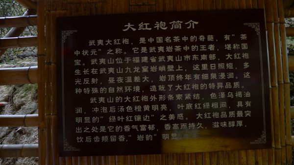 P1030412.jpg