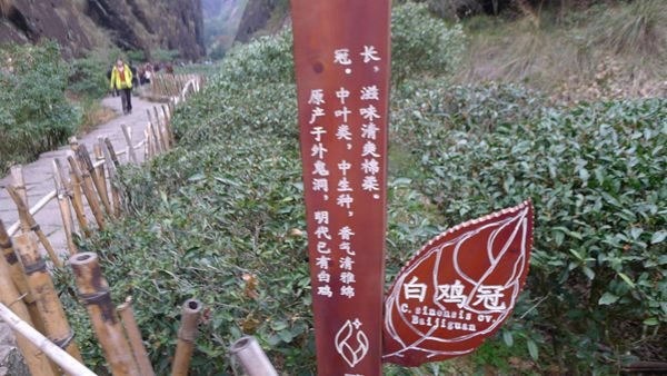 P1030423.jpg