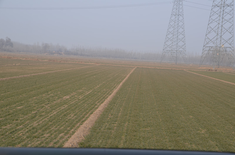 DSC_0137_副本.jpg