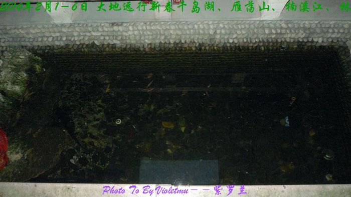126.jpg