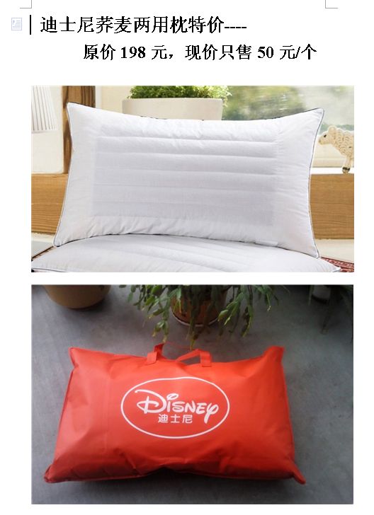 迪士尼荞麦枕1.jpg