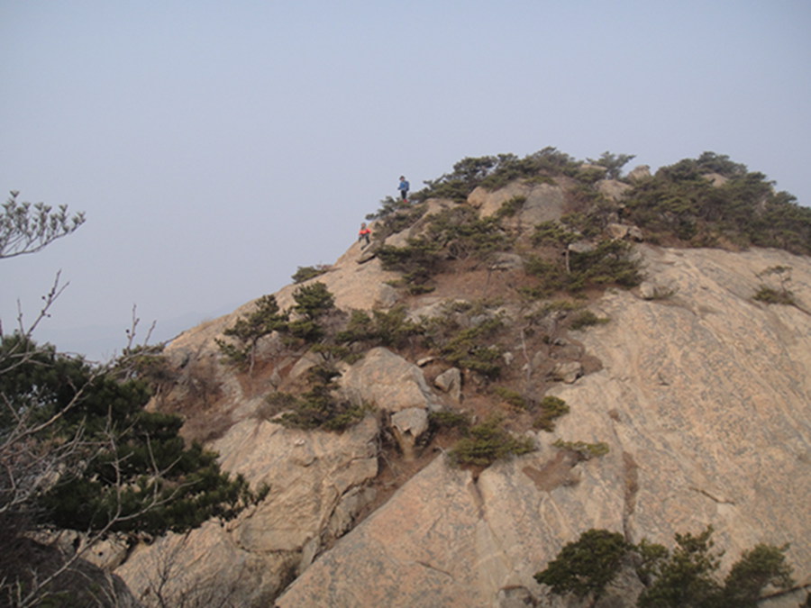 DSC04335.jpg
