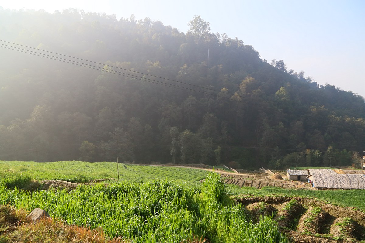 IMG_0897_副本.jpg