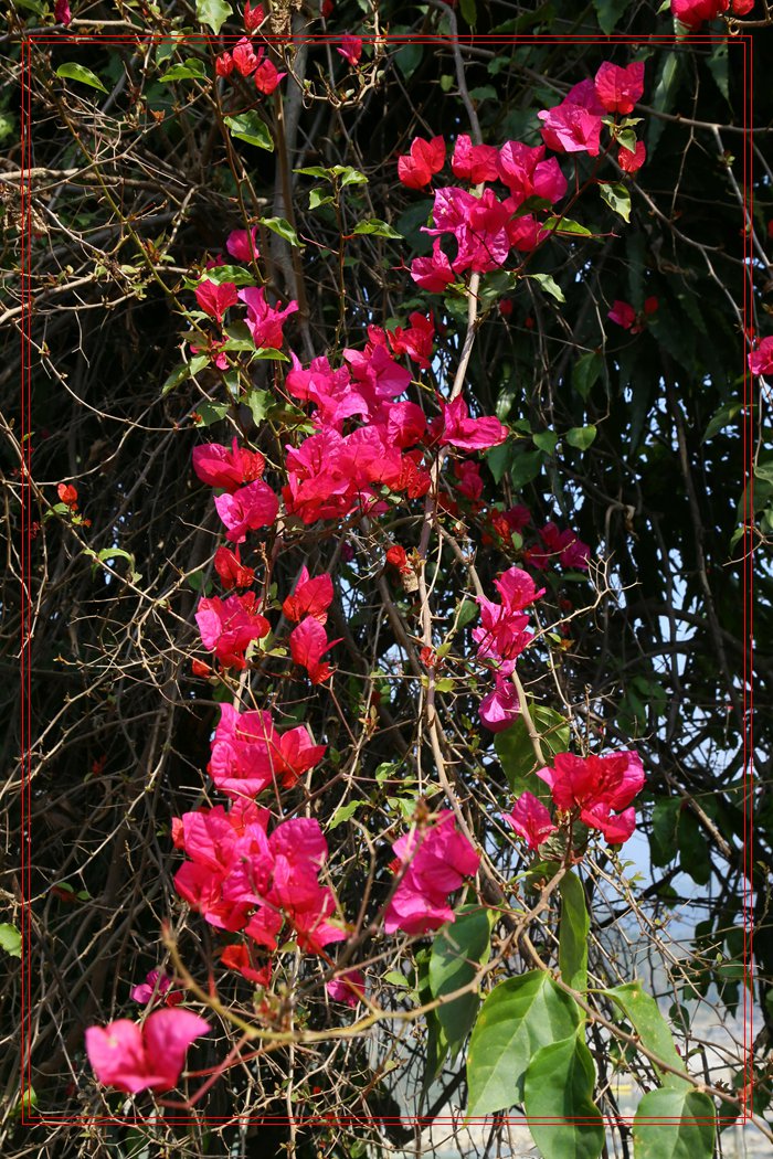 IMG_1009_副本.jpg