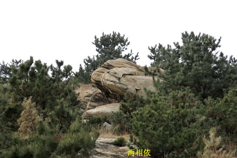 IMG_3695_缩小大小.jpg
