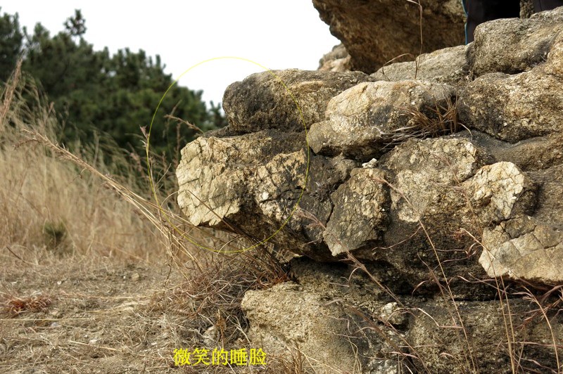 IMG_3701_缩小大小.JPG
