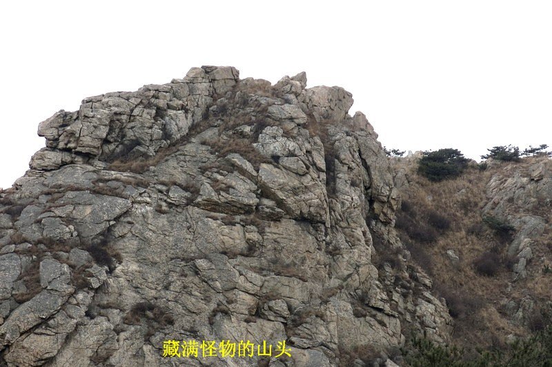 IMG_3708_缩小大小.JPG