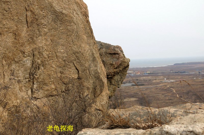 IMG_3710_缩小大小.JPG