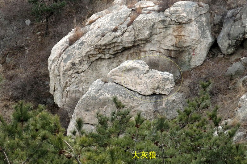 IMG_3721_缩小大小.JPG