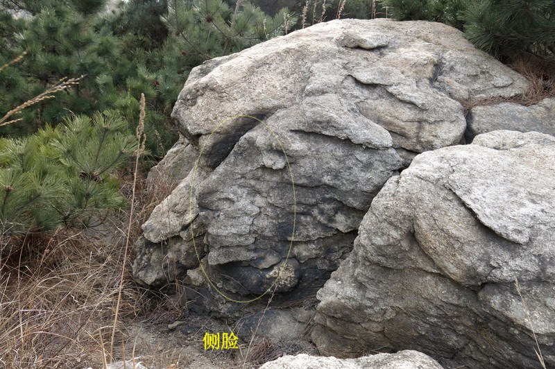 IMG_3727_缩小大小.JPG