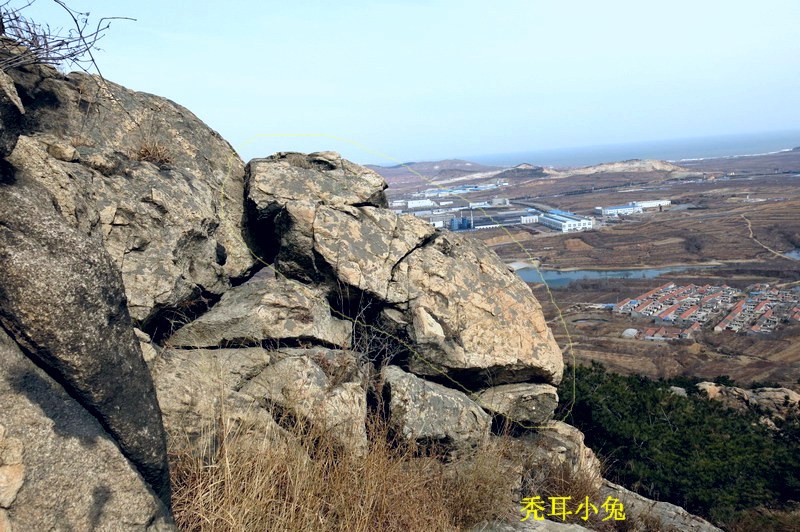 IMG_3752_缩小大小.JPG