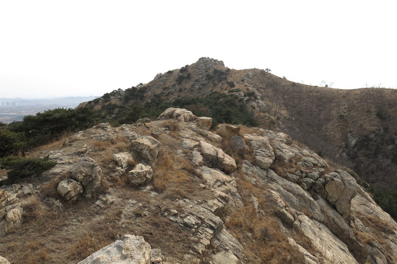 IMG_3765_缩小大小.JPG
