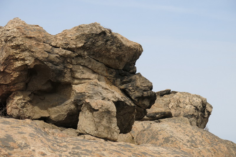 IMG_3769_缩小大小.JPG