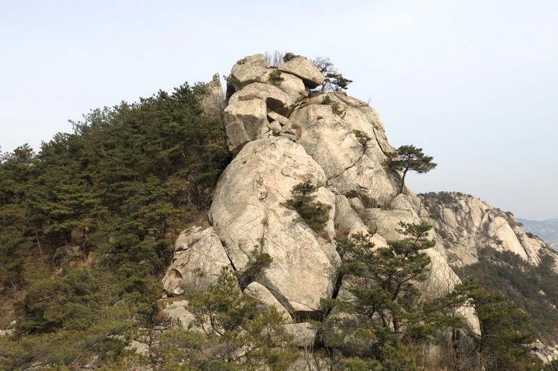 IMG_4013_缩小大小.JPG