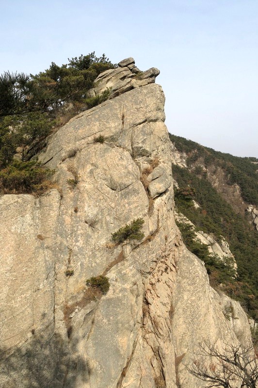 IMG_4029_缩小大小.JPG
