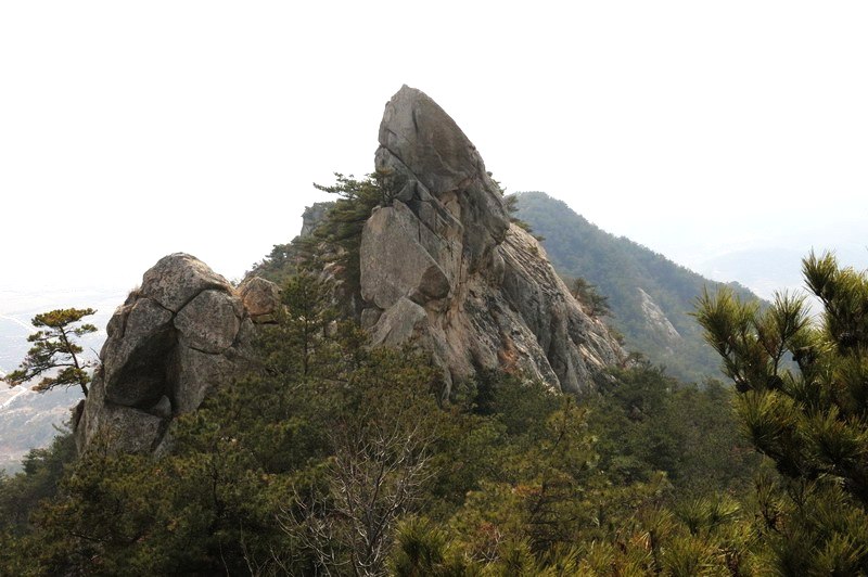 IMG_4049_缩小大小.JPG