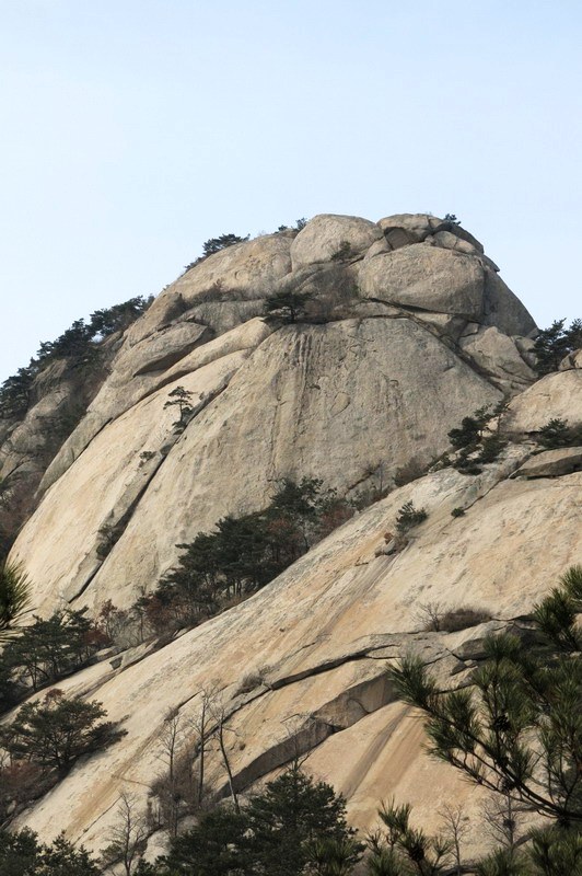 IMG_4064_缩小大小.JPG
