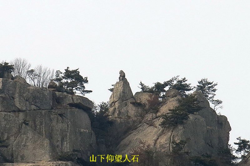 IMG_4075_缩小大小.JPG