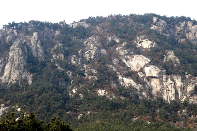 IMG_4077_缩小大小.JPG
