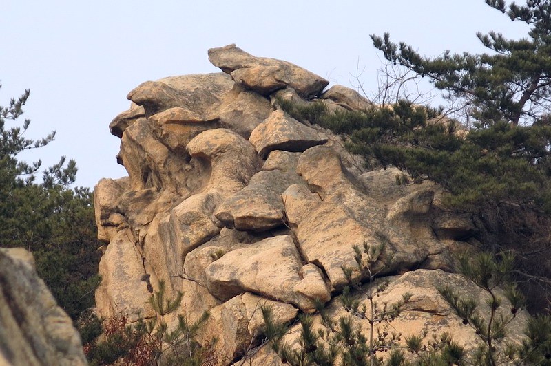 IMG_4303_缩小大小.JPG