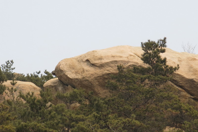 IMG_4496_缩小大小.JPG