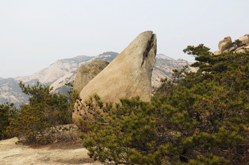 IMG_4501_缩小大小.JPG