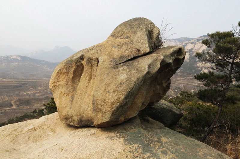 IMG_4506_缩小大小.JPG