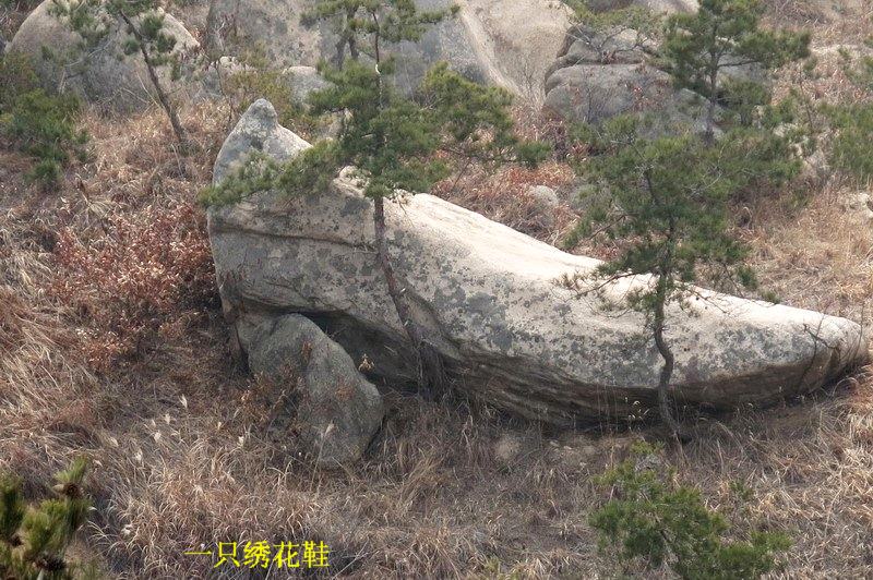 IMG_4510_缩小大小.JPG
