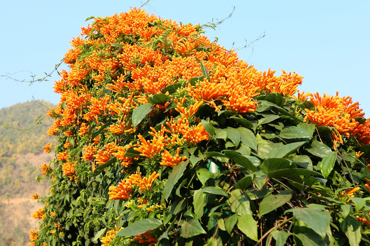 IMG_1272_副本.jpg