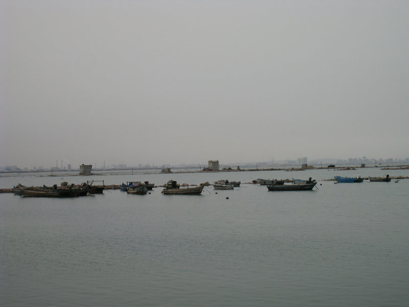 IMG_3660.jpg