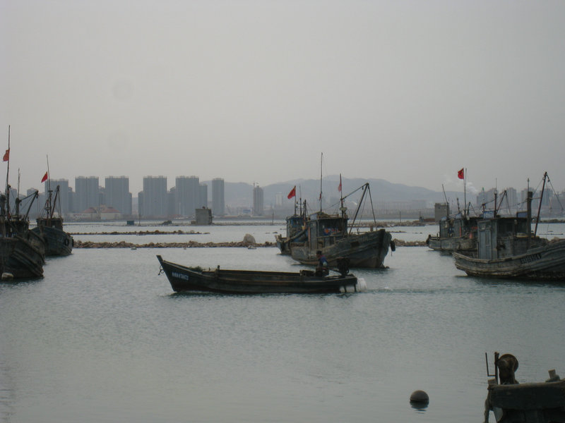 IMG_3647.jpg