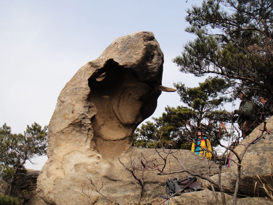 DSC04670.jpg
