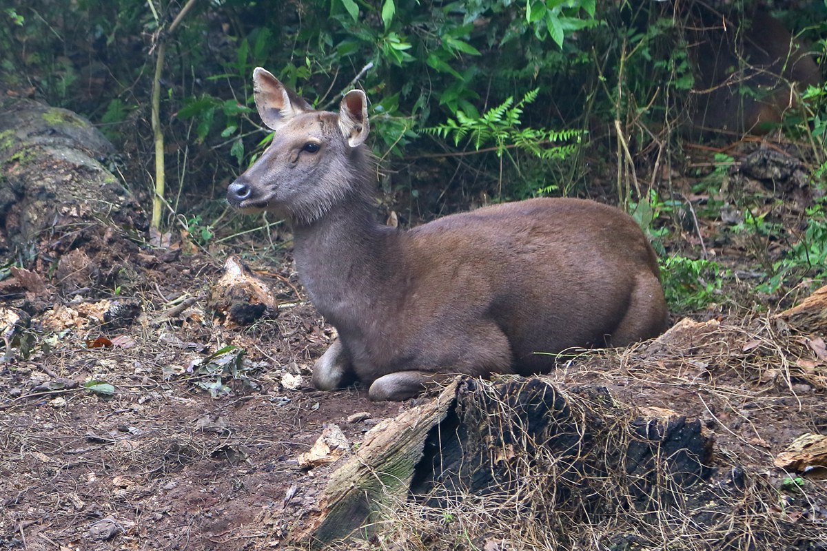 IMG_1864_副本.jpg