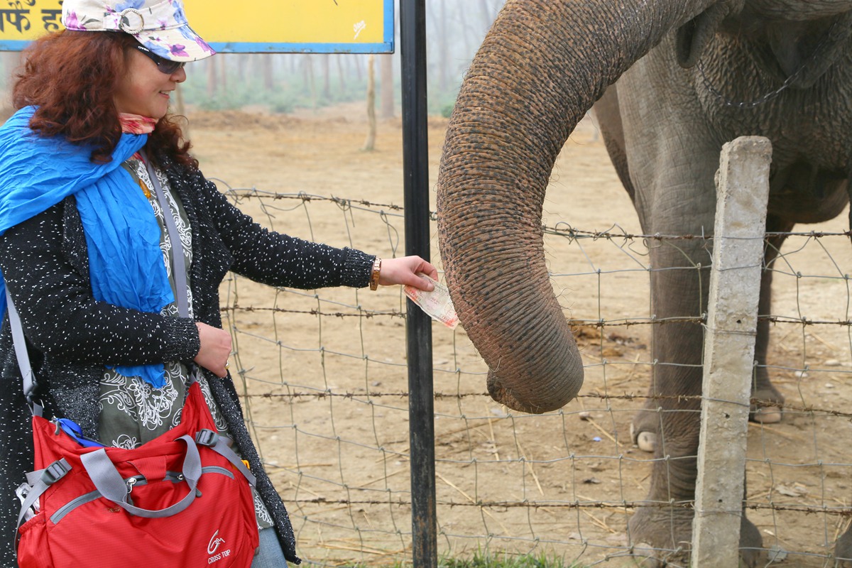 IMG_2037_副本.jpg