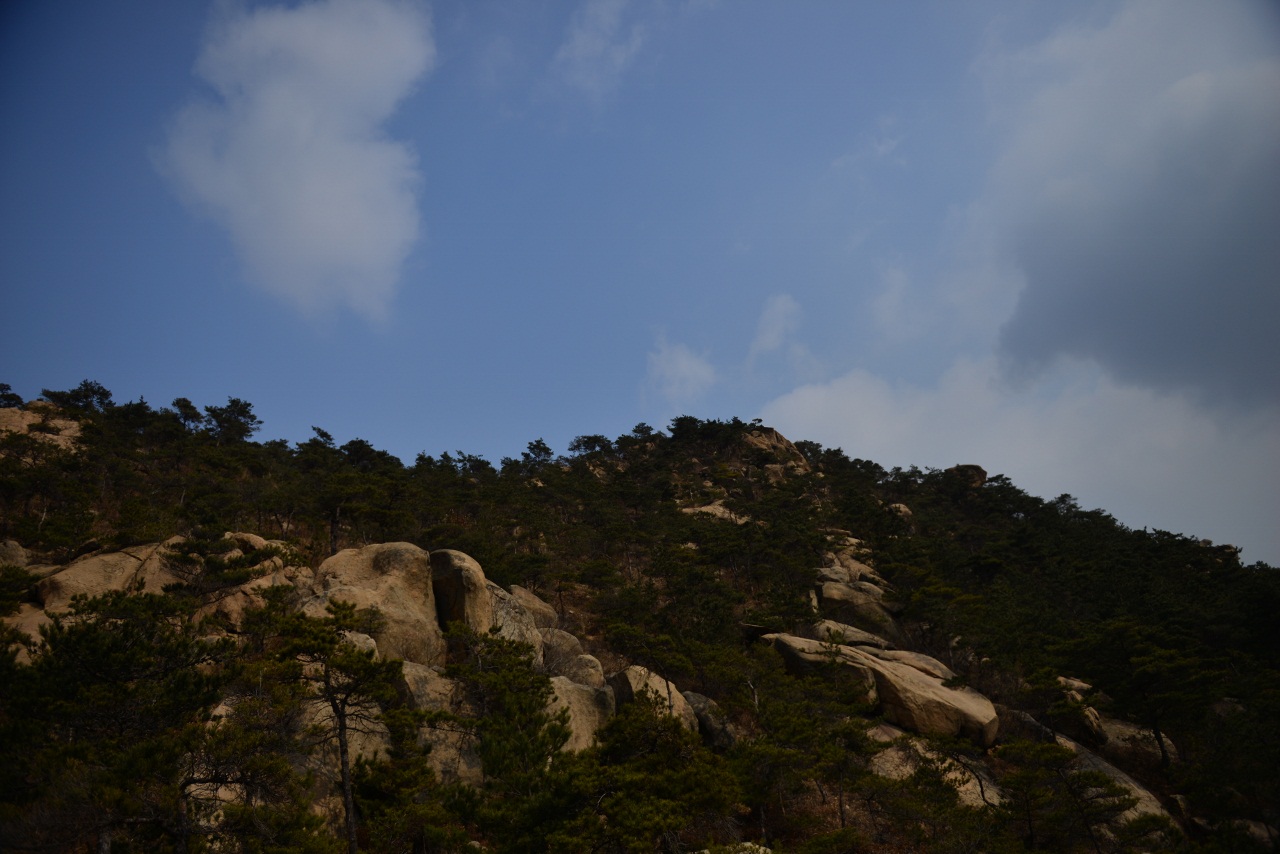DSC_2069 (1280x854).jpg